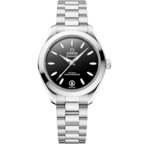 Seamaster Aqua Terra 150M 30 mm, steel on steel - 22010302001001