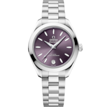 Seamaster Aqua Terra 150M 30 mm, steel on steel - 22010302010002