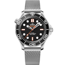 Seamaster Diver 300M 42 mm, steel on steel - 21030422001018