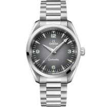 Seamaster Railmaster 38 mm, steel on steel - 23510382006001
