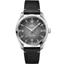Seamaster Railmaster 38 mm, steel on leather strap - 23512382006001