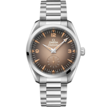 Seamaster Railmaster 38 mm, steel on steel - 23510382013001